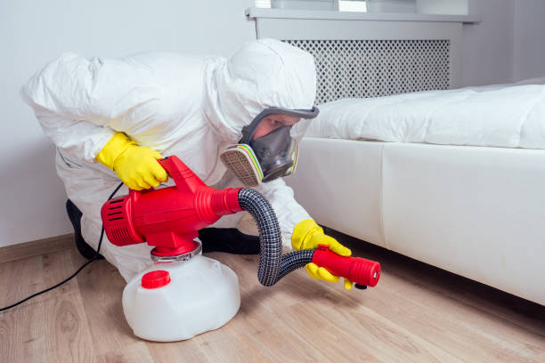 Best Rat Extermination Near Me  in Viola, IL