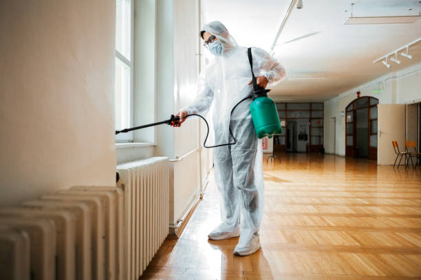 Wasp Removal Services in Viola, IL